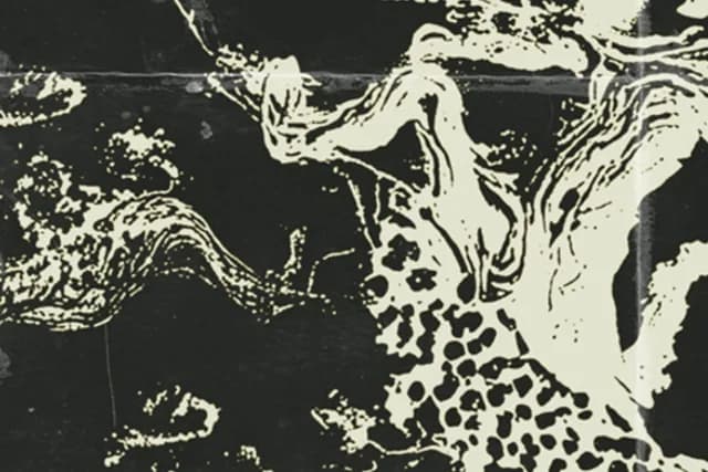 Logo de l'événement Modern Woman