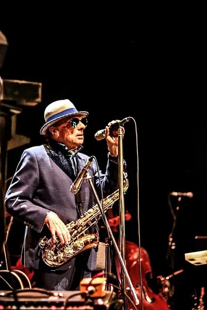Logo de l'événement Van Morrison In Concert
