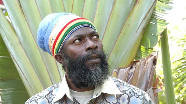 Logo de l'événement Capleton
