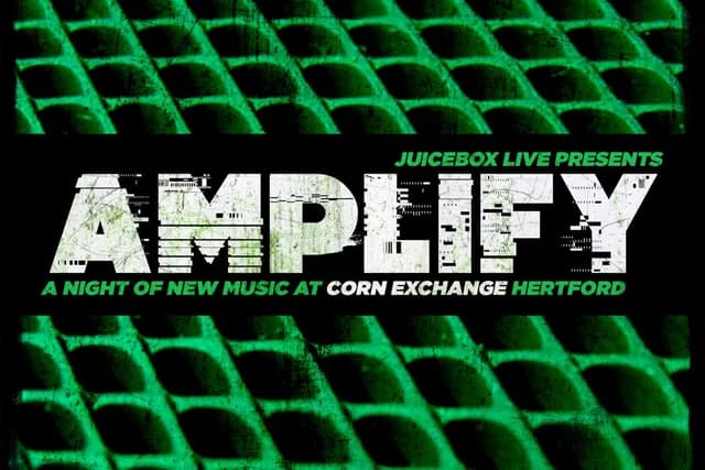 Logo de l'événement Amplify - Fuze / Skarlet Envy / FlyTrap