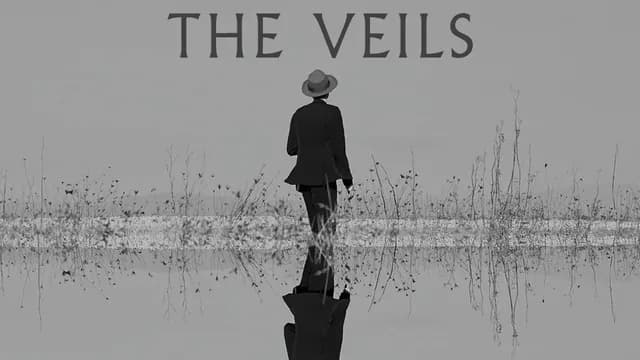 Logo de l'événement The Veils