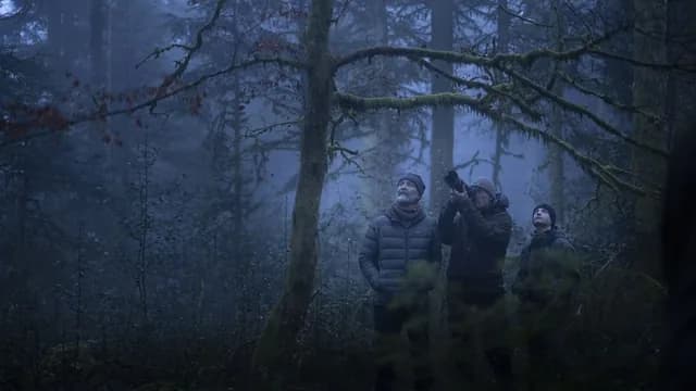 Logo de l'événement Cinema Caprera: Whispers in the Woods