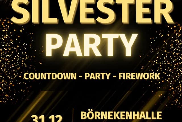 Logo de l'événement SILVESTERPARTY 2026🕺🏻✨