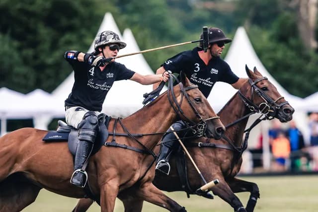 Logo de l'événement Polopicknick 2025 - Wochenendticket 25. + 26. Juli 2026