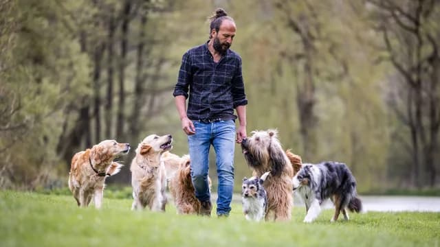 Logo de l'événement Sami El Ayachi - Der zugewandte Hund!