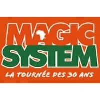 Logo de l'événement Magic System - La Tournée des 30 ans