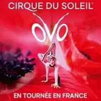 Logo de l'événement Cirque du Soleil - Ovo - Tournée