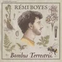 Logo de l'événement Rémi Boyes - Bombus Terrestris - Tournée