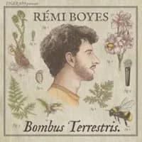 Logo de l'événement Rémi Boyes -  Bombus Terrestris V2 - Le Point Virgule, Paris