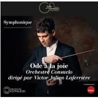 Logo de l'événement Ôde à la Joie -  Symphonie n° 9 de Beethoven