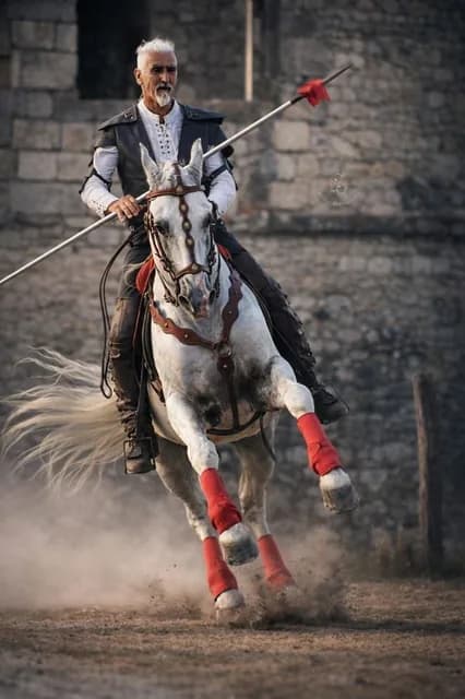 Logo de l'événement La Guinguette Equestre