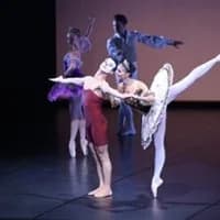 Logo de l'événement The Dancer(s) - Compagnie François Maudit