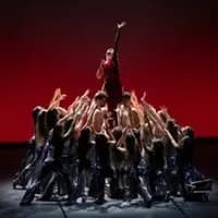 Logo de l'événement Pluie d'Etoiles - Stars of the Ballet