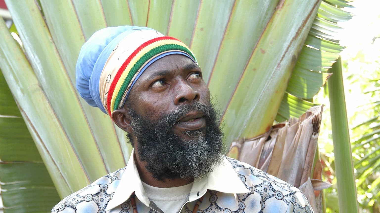Logo de l'événement Capleton