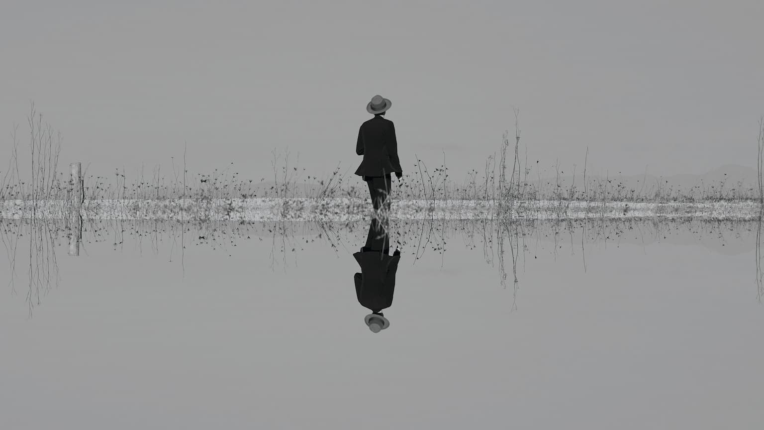 Logo de l'événement The Veils