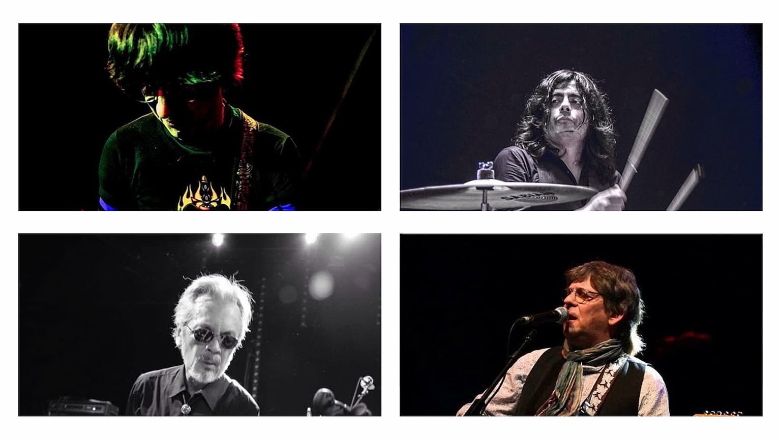 Logo de l'événement FLAMIN' GROOVIES