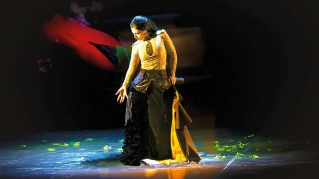 Logo de l'événement Ramona Zaharia is Carmen