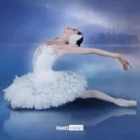 Logo de l'événement Le Lac des Cygnes - Imperial Heritage Ballet