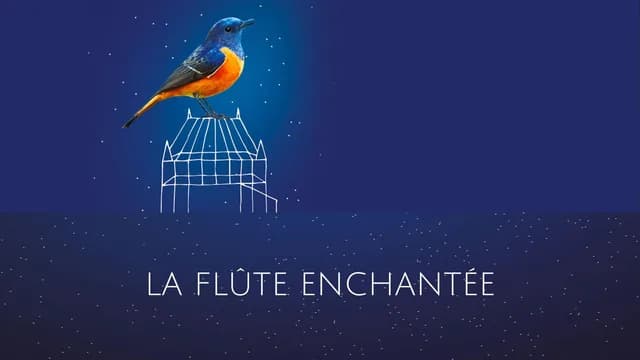Logo de l'événement LA FLUTE ENCHANTEE - W.A.MOZART