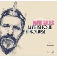 Logo de l'événement David Salles - La Vie est Folle et Moi Aussi