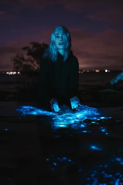 Logo de l'événement PHOEBE BRIDGERS