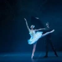 Logo de l'événement Le Lac des Cygnes - Sofia City Ballet