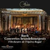 Logo de l'événement Bach - Concertos Brandebourgeois